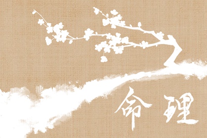 八字金木水火土|八字算吉日查询|八字算盘|基本排盘查询
